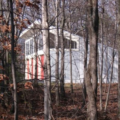Shed In The Woods