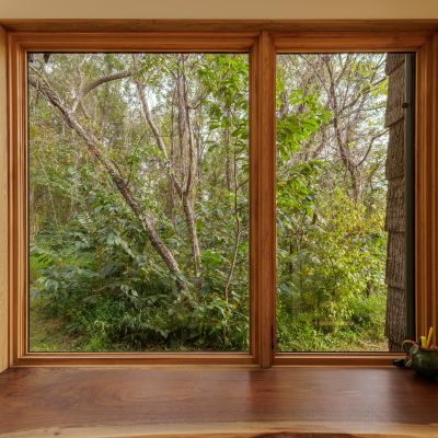 A wooden-framed window overlooks a dense, lush forest. Sunlight filters through the leaves. A small desk with a pot and pencils.