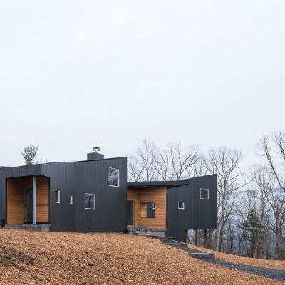 Modern, minimalist house with dark exterior, surrounded by leafless trees on a hill. Overcast sky enhances the home's contemporary architecture and natural setting.