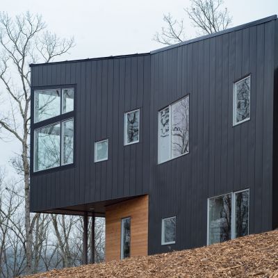 Modern black and wood house with large windows on a wooded hill, surrounded by leafless trees under an overcast sky.